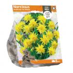 Baltus Narcissus Double Rip Van Winkle bloembollen per 5 stuks